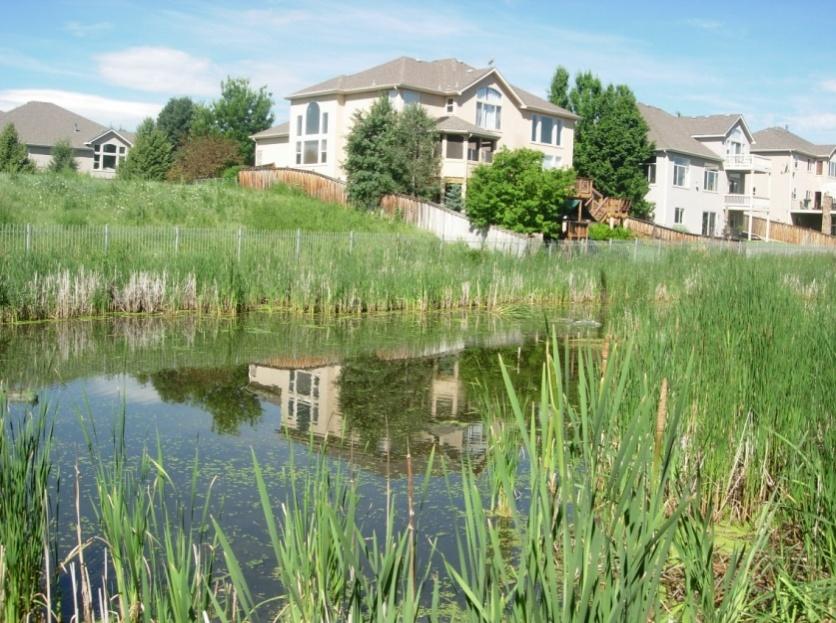 Constructed wetlands ponds differ from "natural" wetlands, as they are artificial and are built to enhance stormwater quality. Do not use existing or natural wetlands to treat stormwater runoff.