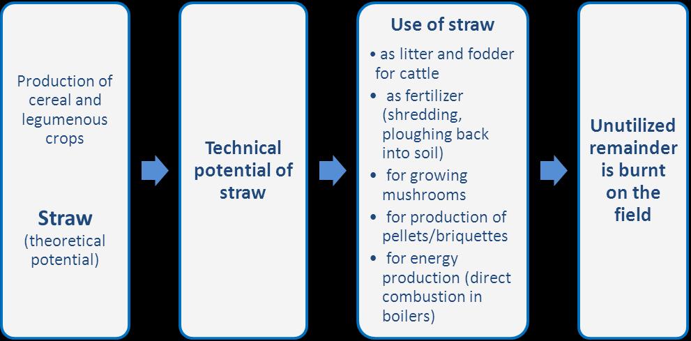 2012: Straw