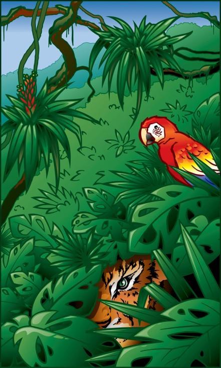 Amazonia from A to Z Picture book created using Amazonia: A