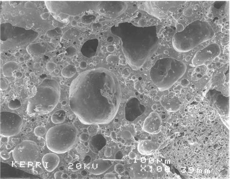 The loopseals clinker covered with sand and partially molten surface. The FBAC clinker bond was so weak that the clinker was com- Fig. 3. SEM image of loopseal clinker (bar=100 µm).