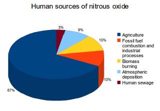 Emissions: Nitrous oxide CFBC produces high levels of N 2 O, over 300 times the