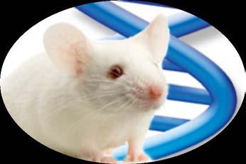CRISPR/Cas9 Mouse Production Emory Transgenic and Gene Targeting Core http://cores.
