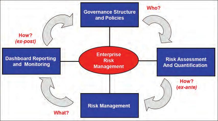 ments of an organization. Regardless, any ERM framework must address four fundamental issues, as shown in Figure 1.
