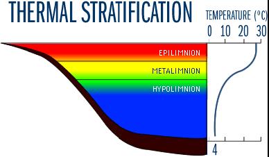 What is a Thermal Stratification? 1. Temperature variance from surface to the bottom 2.