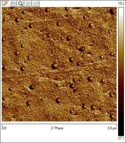 AFM Analysis of Solexis E87-5S, 2 h outer