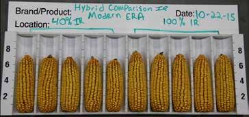 Corn Product Comparison from Different Eras to Water Stress TABLE 1.