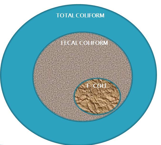 Subgroups of Total Coliforms Fecal Coliforms Subset of total coliform Resides in the intestinal tract of warm-blooded animals (including humans) Contains pathogens (disease causing e.g., E.