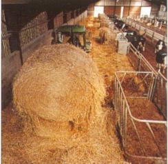 14 hours to feed cattle in a slatted floor confinement. Not surprisingly, the most labor requirement can be found in a confinement with a bed-packed floor (0.38 hours).