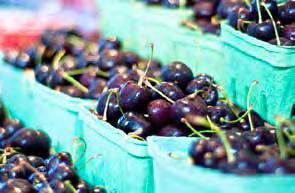 ΜΜTree Fruits B.C. TREE FRUIT GROWERS PRODUCED CANADA S LARGEST TREE FRUIT CROP IN 215, RANKING #1 WITH MORE THAN 124, TONNES OF FRUIT VALUED AT CLOSE TO $117 MILLION IN FARM CASH RECEIPTS. In 215 B.
