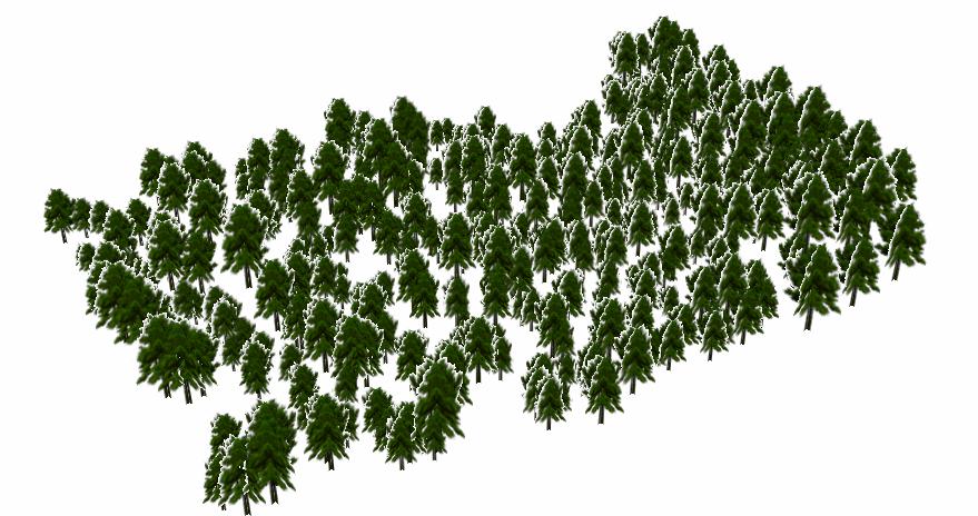 Figure 4. 3D presentation of the pine stand before and after optimum density thinning.