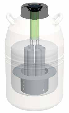 Tank Features A Durable composite lid design B High strength neck tube reduces liquid nitrogen loss C Canisters D Strong, lightweight aluminum construction E Advanced chemical vacuum retention system