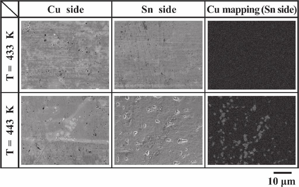 These SEM observations showed that when the filler metal thickness was 0.3 μm, an adherent substance was found on the fracture surface of the Cu.
