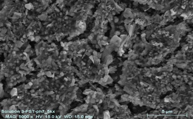 Figure 39: SEM image of oxide film formed on AISI 4340 after potentiostatic hold of -400mV vs.