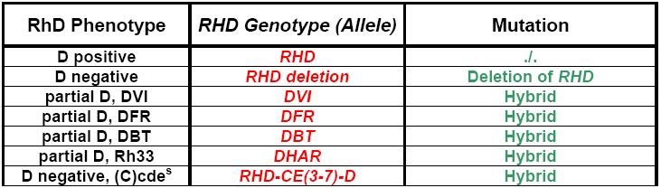 Genomic Nomenclature Rhesus D The Rhesus Site (RHD