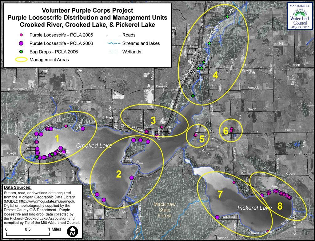 Figure 2. Locations of purple loosestrife around the Crooked River, Crooked Lake, and Pickerel Lake.