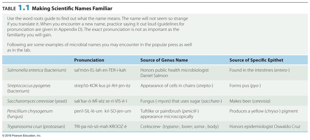 Nomenclature of living microbes Binomial nomenclature Carolus Linnaeus