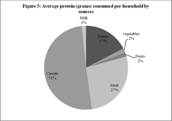 Figure 6 Average proteins (grams) consumed per household Apart from the use of wild fruits across households, purchased cereals and protein also played a role in meeting household energy and protein