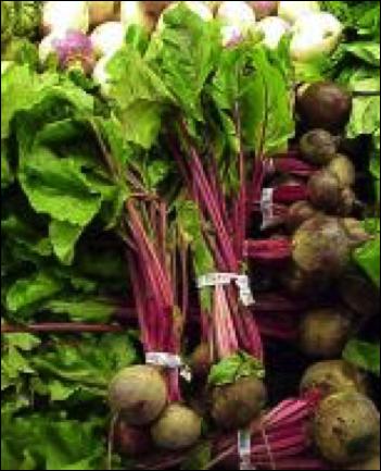 Garden Beet 2013 Active Ingredient Herbicide Rate Notes Cycloate Ro-Neet 6E 0.5-0.66 gal/a PPI - grasses Pyrazon Pyramin DF 4.6-5.4 lb/a PRE - bdlves S-Metolachlor Dual Magnum (24C) 0.67-1.