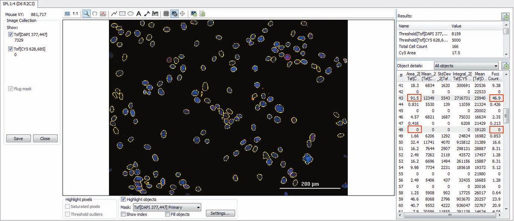 Because the foci count is calculated from the total foci coverage area for each nuclei counted in the image, using the dual-mask analysis, it is also possible to quickly assess results for an