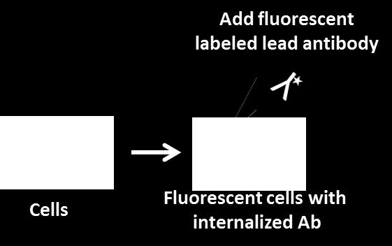 Fluorescence Plate Based Assays Using Antibody-pHAb Conjugates 50000 40000