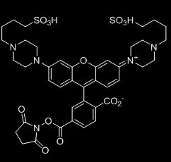 phab Dyes 1) phab amine reactive dye phab