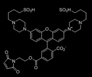 phab Dyes 2) phab thiol reactive dye 2-8 thiol groups phab thiol Reactive