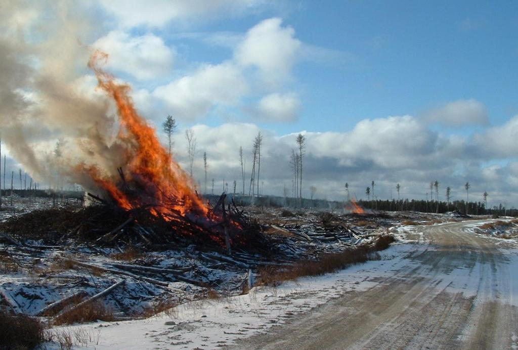 Bioenergy: Lighting a Fire in Ontario Megan Smith Program Specialist Forest