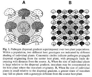 Effects of autoinfection: The proportion of pathogen inoculum retained on the same host plant on which it was produced.