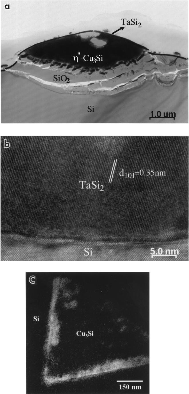 ( ) K. Yin et al. Thin Solid Films 88 001 15 1 19 Fig.. Ž. a Cross-sectional TEM image after 600 C annealing for 0 min. Ž b. High-resolution TEM image obtained from Ta barrier. Ž c.