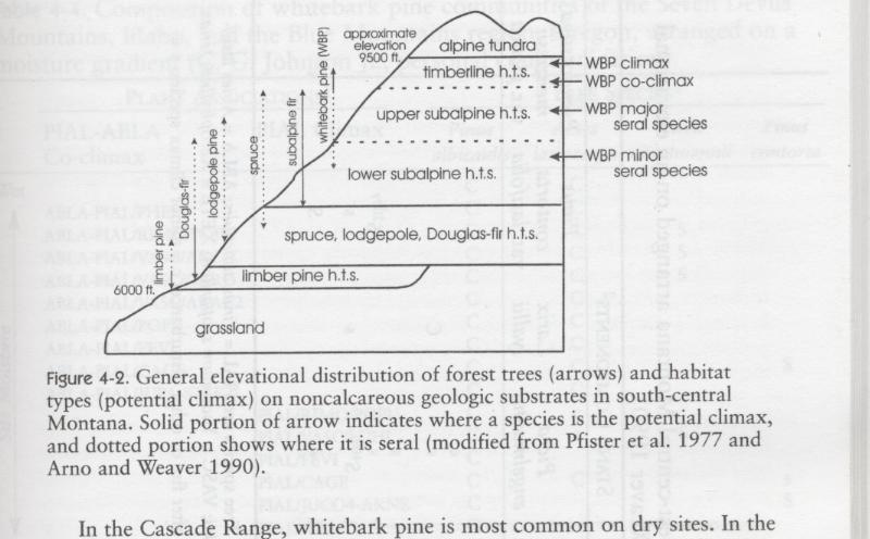 Rocky Mountain Whitebark pine 10-15% 15% of subalpine Arno.