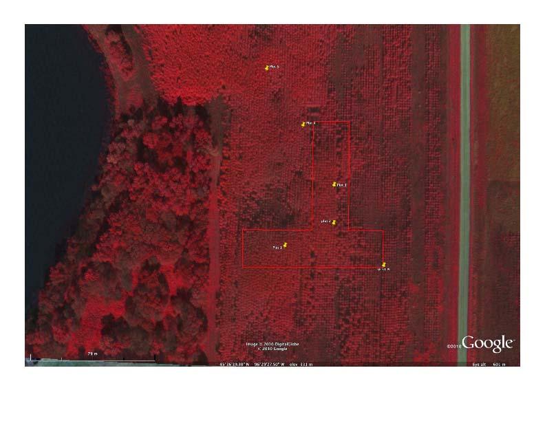 Photo 2 Fertilizer trial layout on near infrared image taken by the
