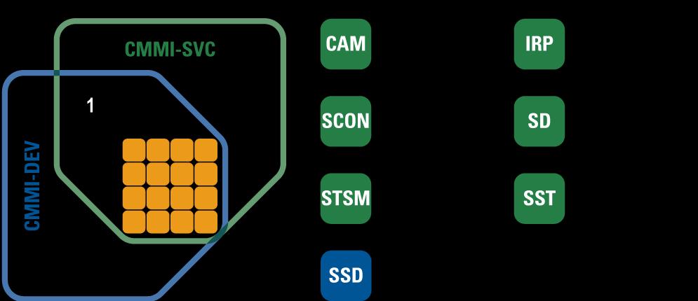 CMMI-DEV A Quick Look at CMMI-SVC CMMI-SVC Service PAs *CMMI-SVC