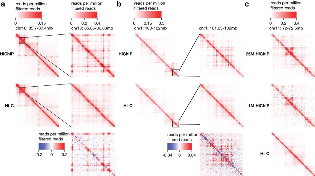 Supplementary Figure 6 HiChIP exhibits increased signal to background at chromatin loops relative to in situ Hi-C.