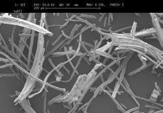 The micrograph on the right shows a fractured fiber with nano-sized
