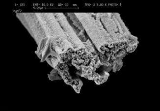 Product Micrographs of ZYBF-2 ZYBF-2 fibers are shorter than ZYFB-1 as