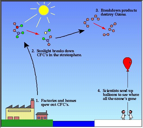 Chlorofluorocarbon molecules (CFC s) released from air conditioners, aerosol spray cans, fire