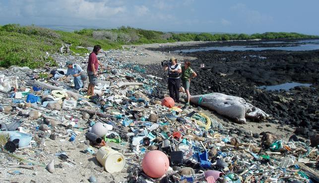 PLASTIC IS MADE FROM FOSSIL FUELS! http://lowcarbonhome.