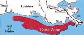 Gulf of Mexico Dead Zone The DEADZONE forms each April, generally grows throughout the