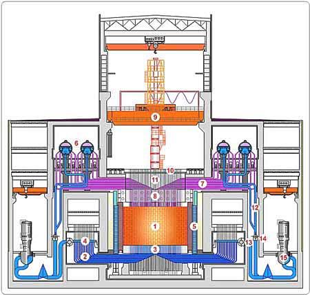 Cutaway of the Nuclear Unit 1. Core 2. Piping of water lines 3. Lower biological shielding 4. Distribution headers 5. Side biological shielding 6. Drum-separator 7.