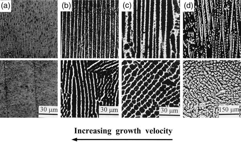 186 W. Xu et al. / Acta Materialia 50 (2002) 183 193 Fig. 2. Optical micrographs showing microstructure evolution with variation of growth velocity for Zn 1.