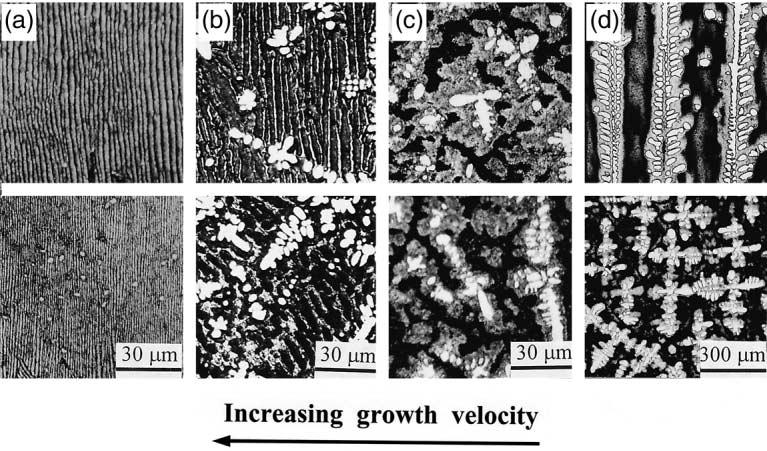 06 mm/s; (d) cellular dendrites of h (D C h) grown at 0.48 mm/s. (a) Laser remelting; (b) (d) Bridgman solidification. Upper, longitudinal section; lower, transverse section. Fig. 3.