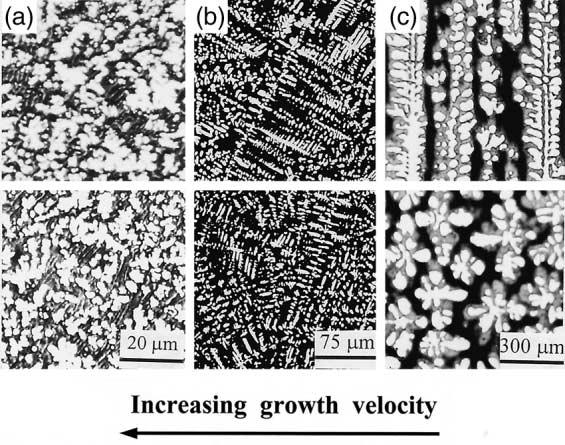 W. Xu et al. / Acta Materialia 50 (2002) 183 193 187 0.09 for 3.1 at% Ag to 0.26 for 4.4 at% Ag, then to 0.5 for 6.3 at% Ag. Fig. 4. Optical micrographs showing microstructure evolution with variation of growth velocity for Zn 6.