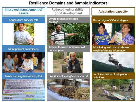 Site-Specific Performance Indicators At the site-specific level, the implementing partner for each field adaptation initiative also reported on a set of contextually appropriate indicators that