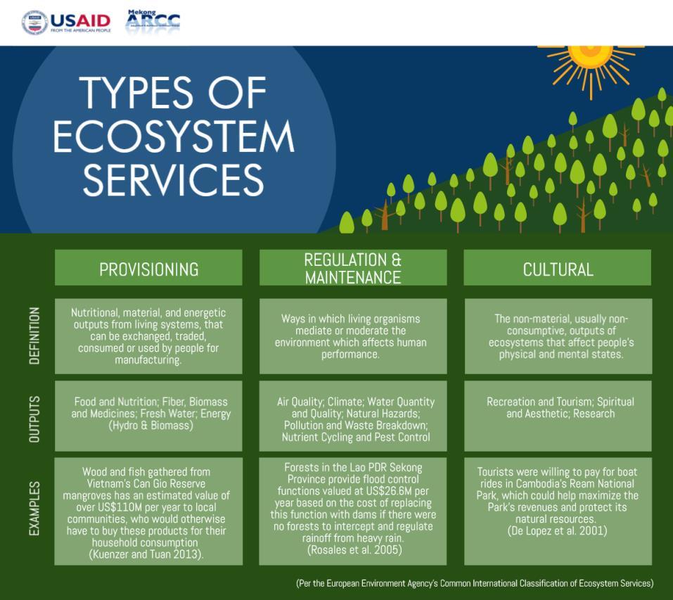 Figure 16: Types of Ecosystem Services Guidelines author Dr. Talberth explains, The importance of ecosystem services cannot be underemphasized.