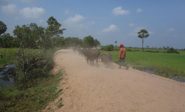 In Chey Commune of Kampong Thom Province, Cambodia, lack of water is a major concern in the community. Rice is their primary subsistence crop, and most villagers harvest one rain fed crop per year.