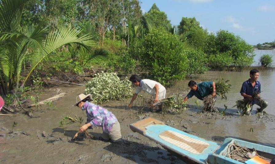 With project support Thuan Hoa Commune villagers planted mangroves along an eroded canal in Kien Giang Province, Mekong Delta of Vietnam.