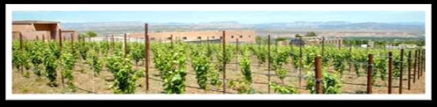 distribute Class A+ water Viticulture with reclaimed water,
