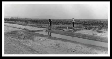 A Trip Back in Time Irrigation with raw sewage Popular in arid west due to limited water supplies Reached peak in 1923 Over 70 cities had sewage farms for