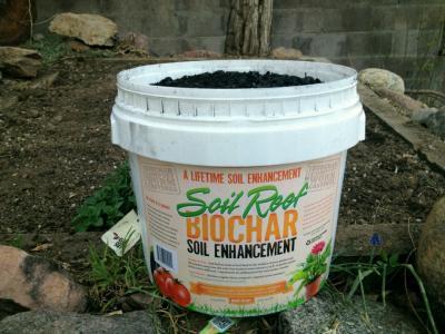 Biochar, or charcoal, is the residue that is obtained from the production of energy from plant biomass.