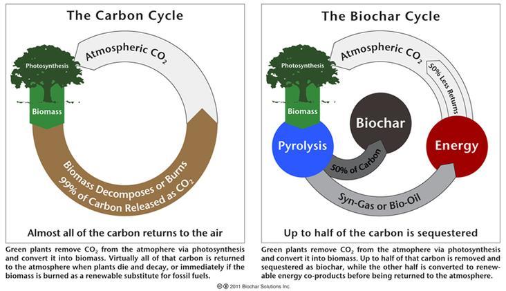 Fig.2 Biochar and carbon sequestration.